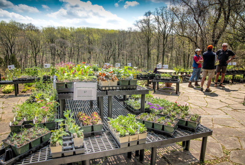 Henry Foundation for Botanical Research, United States